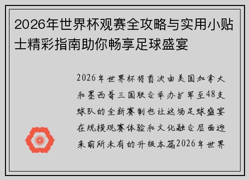 2026年世界杯观赛全攻略与实用小贴士精彩指南助你畅享足球盛宴
